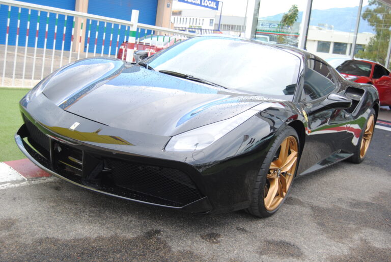 488-spider-1