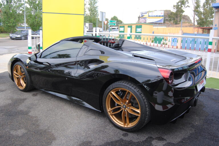 488-spider-12